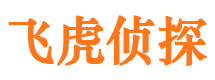 双塔外遇调查取证